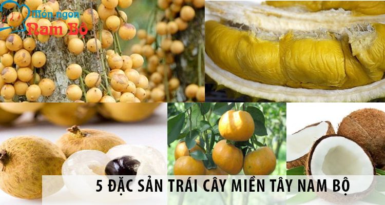 5 đặc sản trái cây miền Tây Nam Bộ nhất định phải thử