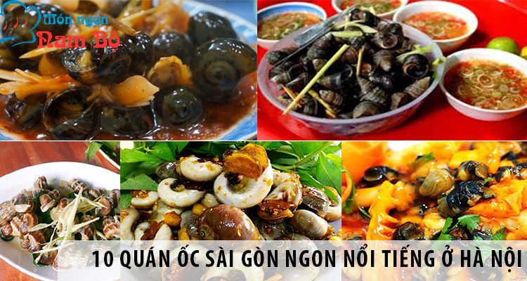 Khám phá 10 quán ốc Sài Gòn ngon nổi tiếng ở Hà Nội